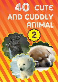 Kids can discover the animal kingdom like never before in lonely planet kids' the. 40 Cute Animals Of The World Picture Book For Kids Vol 2 Cool Story And Facts Inside Kindle Edition By Publishing Dp Children Kindle Ebooks Amazon Com