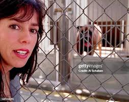 19 Me Bullock Date Stock Photos, High-Res Pictures, and Images