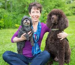 We will provide the pet with basic veterinary care including tests, exams, vaccinations, microchipping, spay or neuter surgeries, heartworm and flea protection, and more through our veterinary clinics. Pawsitive Veterinary Care 1551 Sutherland Avenue Kelowna Reviews And Appointments Topvet