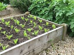 Don't skimp on this step, or your plants may not grow very well! How To Plan Your Vegetable Garden Tips On Soil Plants Rotation