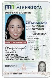 Seasonal resident identification cards are marked with a designation that the holder is a seasonal resident and is licensed in another state. Dvs Home New Driver S License And Id Card Designs