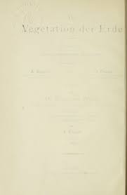 Image result for Mimulopsis runssorica