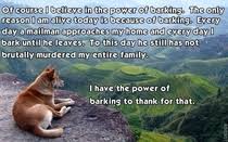 How My Dog Views The Mailman Meme Guy