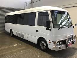 Image result for Maerua bussei