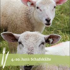 Das spiegelt sich in vielen bauernregeln zur schafskälte wider. Landfrauenkuche Schafskalte 4 20 Juni Facebook