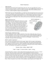 Cellular respiration is a set of metabolic reactions and processes that take place in the cells of anaerobic respiration occurs in the absence of oxygen. Http Oakman Dearbornschools Org Wp Content Uploads Sites 411 2016 01 Cellular Respiration Reading And Questions Pdf