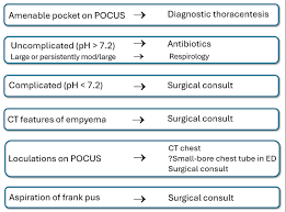 Image result for Parapneumonic Effusion