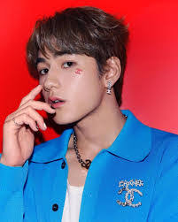 Theresa Bee's Instagram, Twitter & Facebook