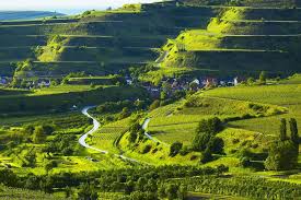 Badischer Wein Schwarzwald Tourismus Gmbh Schwarzwald Deutschland Schwarzwald Tourismus Urlaub In Deutschland