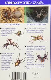 Spiders Of Western Canada Amazon Co Uk John Hancock