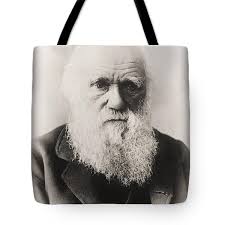 Darwin Tote Bags for Sale by Bridgeman Images