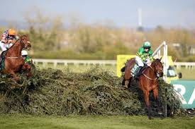 Grand national free tips 2020. Rukkbei2m7hqim