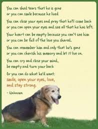 Pin By Barbara Ready On Dog Quotes Dog Poems Pet Remembrance Dog Quotes