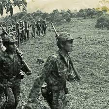 History of colombia | the colombian animated history in a nutshell. In Pictures The Farc S 50 Year Insurgency In Colombia