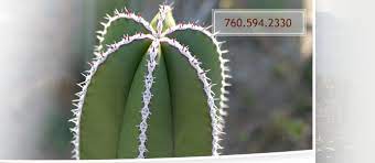 This vacant land is a 8.3 acre lot and features 0 bedrooms. Desert Theater Cactus Nursery In San Diego Escondido Cacti Nursery Drought Tolerant Plants In San Diego County Cacti And Succulents In San Diego Succulents And Cactus Nursery Drought Tolerant Landscaping In San