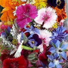 We did not find results for: Herbs And Edible Flowers Organic Footprints