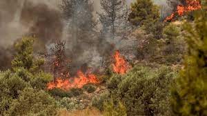 Easily share your publications and get them in front of issuu's. 31wrhlhpcyntgm