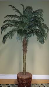 Accessories Home Decor My Rooms Furniture Gallery Palm Tree Decorations Hawaiian Decor Home Decor Furniture