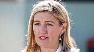 Free IVF in Qld: Health Minister Shannon Fentiman investigates public  fertility
