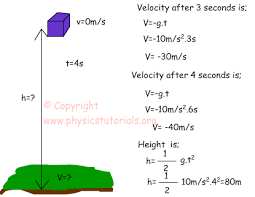 Free Fall With Examples
