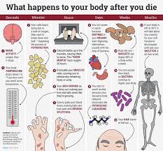 Its The Sign Of The Crimes On Instagram What Happens To Your Body When You Die Source Tech Insider Forensic Science Forensics Writing