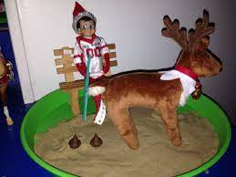 New Pet For The Elf Need Pet Waste Bags Xmas Elf Elf Fun Christmas Fun