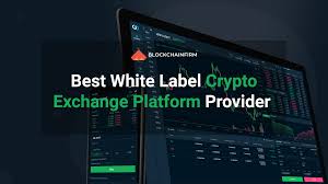 In the p2p crypto exchange platform, it's a way distinct! What Made A White Label Cryptocurrency Exchange Platform To Be A Lucrative Business Among Investors Blockchain Info By Isabella Aria