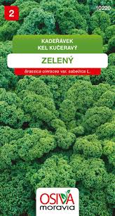 Image result for kadeřávek