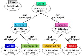 Comparable Prognostic Impact Of Bnp Levels Among Hfpef