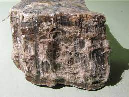 W przyrodzie występuje około 150 minerałów o pokroju włóknistym, które w. Chryzotyl Wikipedia Wolna Encyklopedia