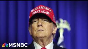 Interview with Samantha Dirks