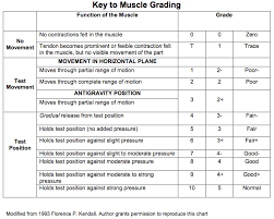 Manual Muscle Testing Grading And Procedures Occupational