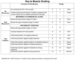 manual muscle testing grading and procedures occupational