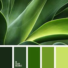 Green Hues Salad Green Light Green Olive Green Grune Farbpalette Grune Palette Idee Farbe