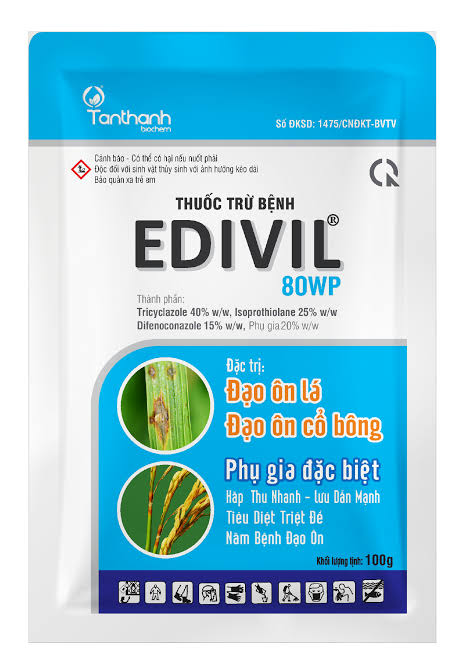 Edivil 80WP