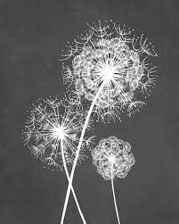 Dandelion Wall Art Prints Charcoal Grey Flower Art Living Room Bedroom Bathroom Floral Decor Set Of 3 Unframed Paper Prints Or Canvas Pareti Artistiche Tarassaco Arte