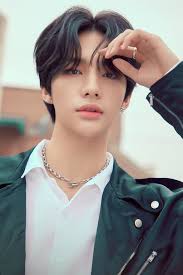 Pin On Stray Kids