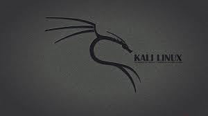 Kali linux will not hack a website for you within seconds, and can't make a kali linux hacker. Pin On Linux