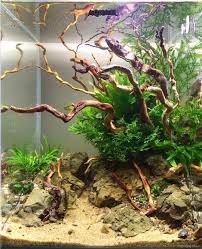 Lovelyving Architecture And Design Ideas Aquascape Aquarium Fish Aquarium Decorations Aquascape