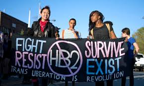 Image result for Dyschoriste transvaalensis