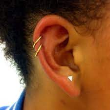 Pin By Louise On Body Art Double Helix Piercing Helix Piercing Piercings