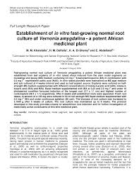 Image result for Vernonia schlechteri