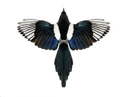 Birds Of A Feather 2019 Characters Pin By Nicoletta Darita De La Brown On Cloak And Dagger Magpie Tattoo Feather Bird Tattoo Shoulder Feather With Birds Tattoo