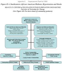 Program Overview College Of Nursing Musc