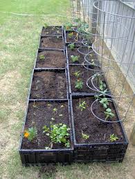 Add fencing to your raised beds to keep out deer and rabbits! 13 Best Diy Raised Garden Bed Ideas And Designs For 2021
