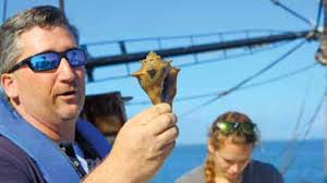 The Earth Laughs in Flowers