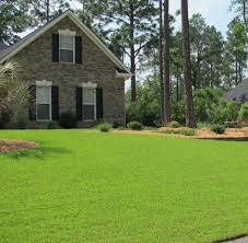 In hot, arid climates, it's best to water lawns in the still hours of the early morning, before sunrise. Centipedegrass Yearly Maintenance Program Home Garden Information Center
