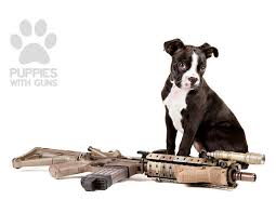 Hahastop funny pictures dogs with guns. Puppies With Guns Calendar 2015