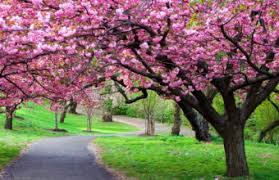 4k Ultra Hd Wallpapers Hd Then you're in the right place! 4k ultra hd wallpapers hd