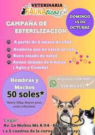 Veterinaria FAUNAticos